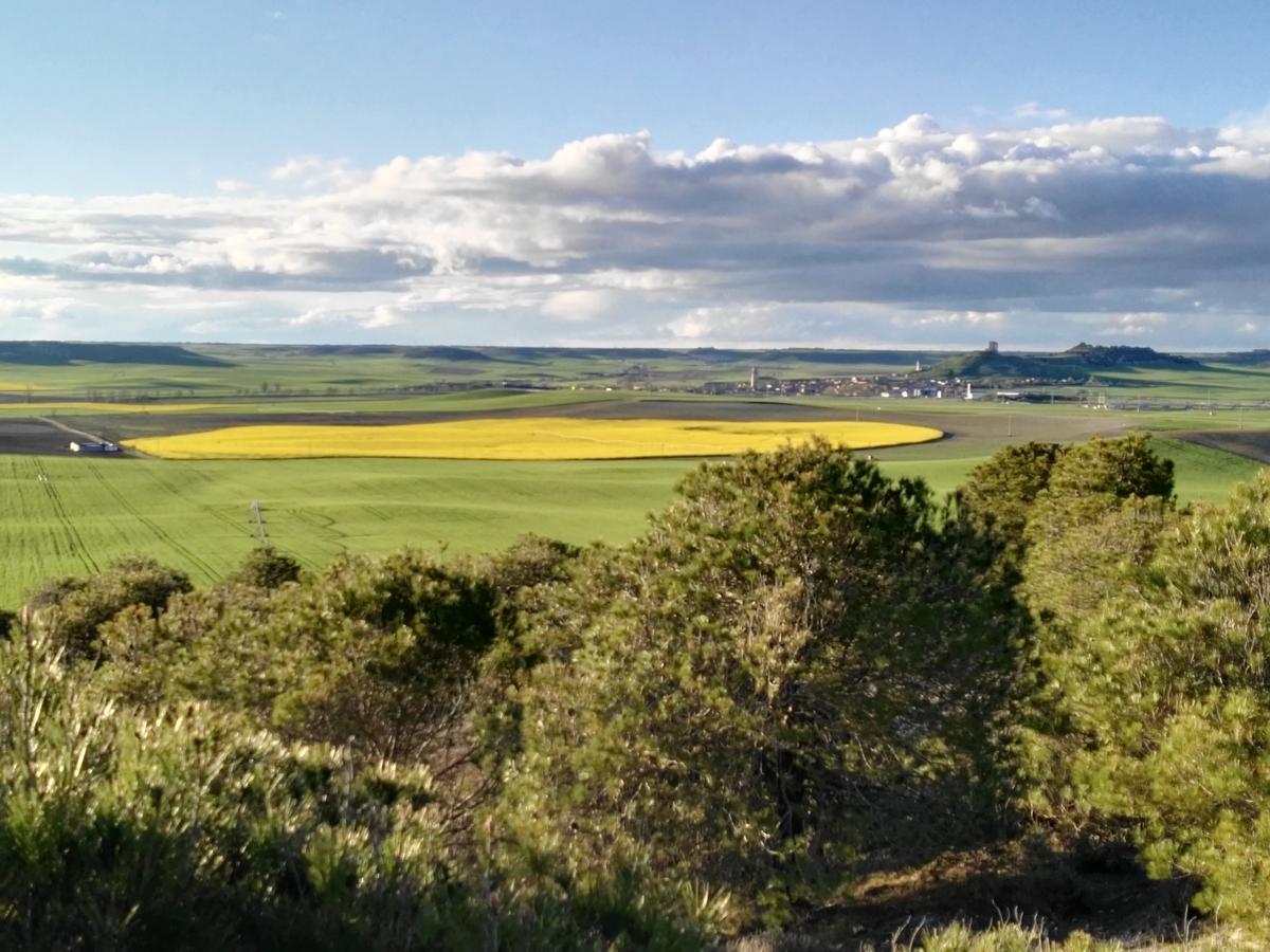 La Aldea Colorada Casa Rural Mota del Marqués Εξωτερικό φωτογραφία